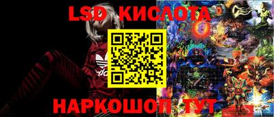 стафф Берёзовский