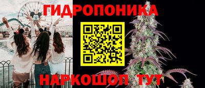 ПСИЛОЦИБИНОВЫЕ ГРИБЫ Дубна