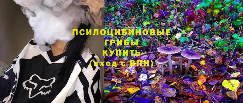 Псилоцибиновые грибы MAGIC MUSHROOMS  Новочебоксарск 