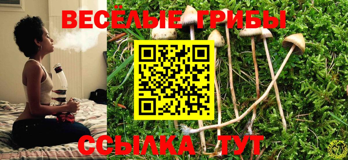 Галлюциногенные грибы ЛСД Новочебоксарск