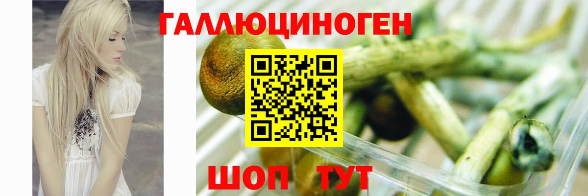 Галлюциногенные грибы мухоморы  наркотики  Новочебоксарск  Вход с VPN 